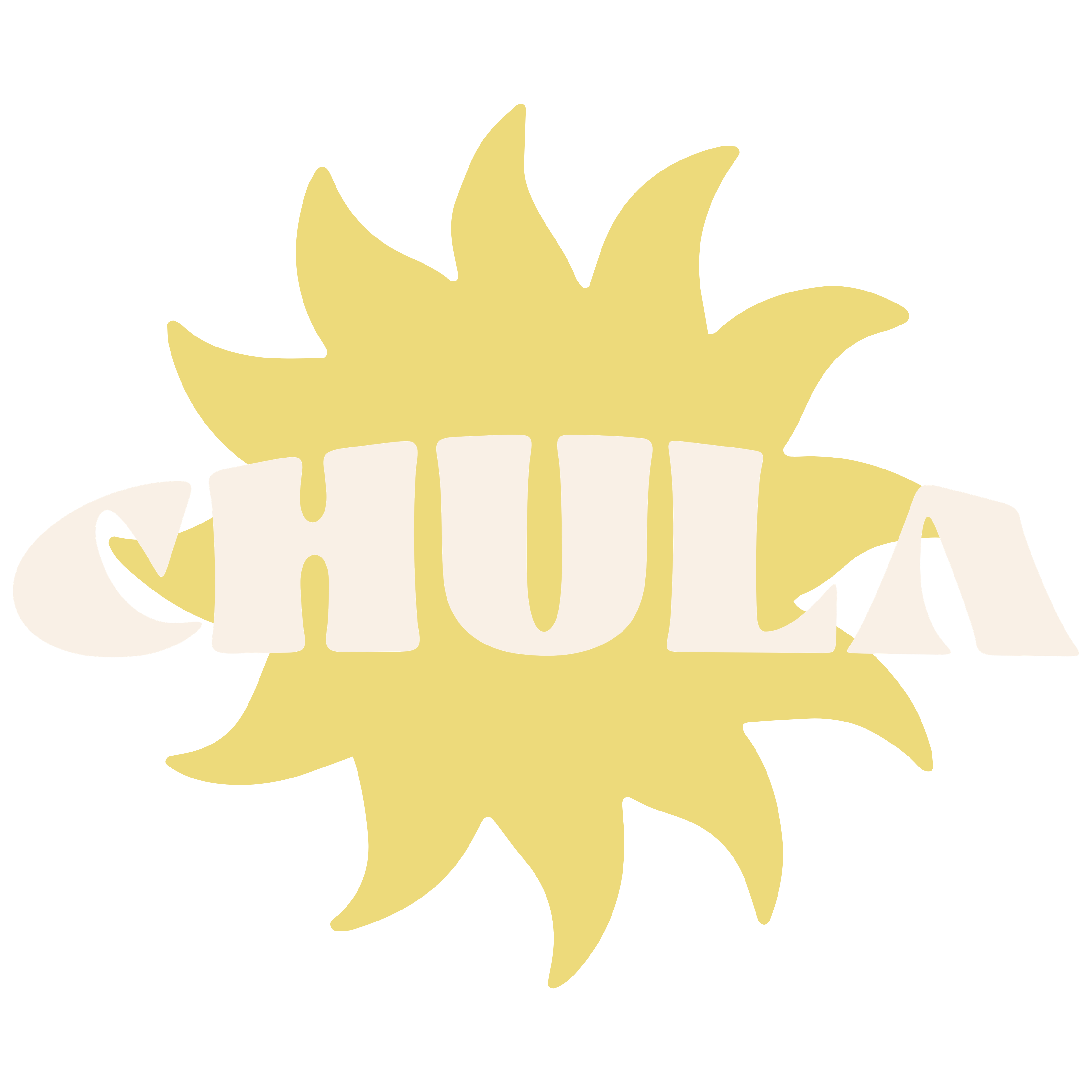 CHULA SURF